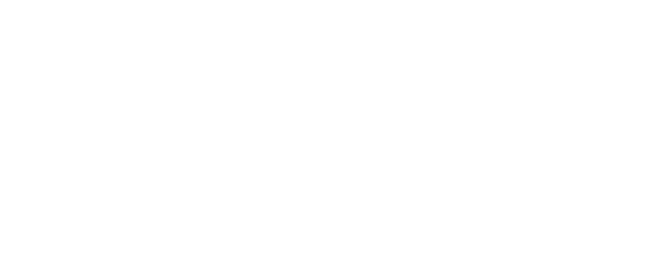 CFX-2E